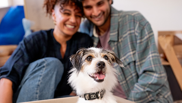 Small white-and-brown dog sitting in a moving box, with two people in the background surrounded by household items during a home move.