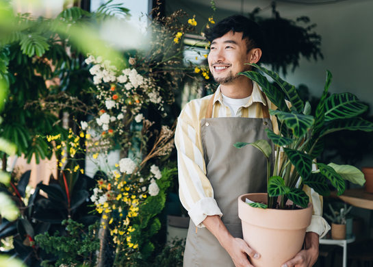 Man in an apron, holding a large plant and smiling.