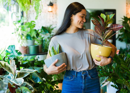Woman holds two pot plants