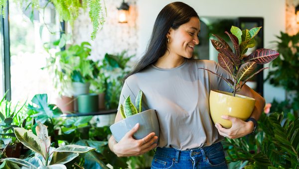 Woman holds two pot plants