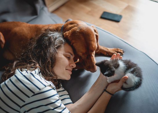 woman cuddling dog and kitten