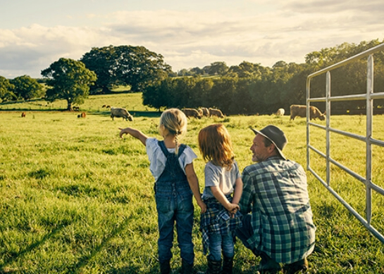 A farmer crouched by his two kids as they look over a sunny, cow-dotted paddock.