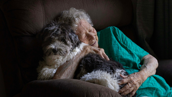 An elderly woman smiles as she hugs a black and white labradoodle dog on a couch.