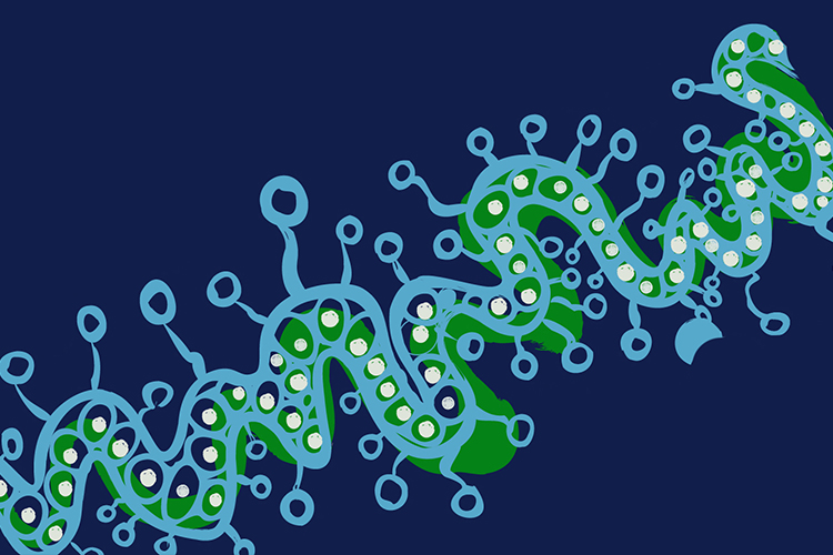 An abstract painting of a squiggly line across a canvas, with lines and dots emerging from it.